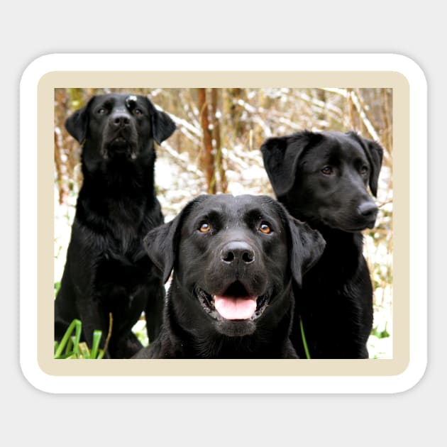 Black Lab Group Sticker by Wanderingangel